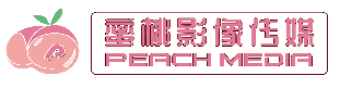 蜜桃视频官方高清影视