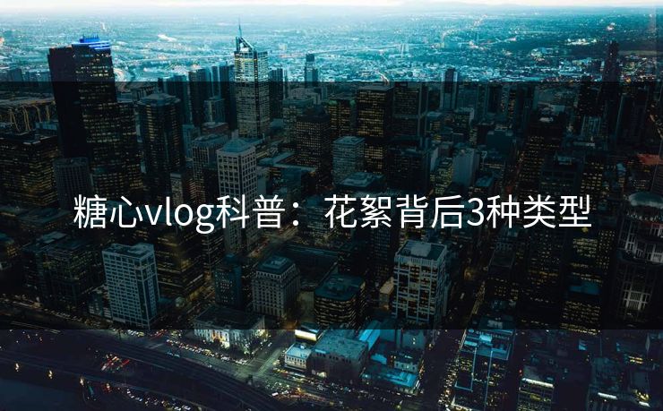 糖心vlog科普：花絮背后3种类型