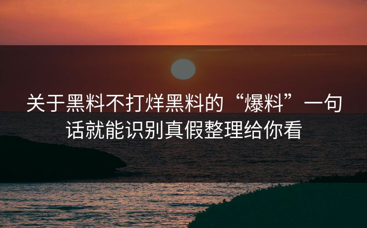关于黑料不打烊黑料的“爆料”一句话就能识别真假整理给你看
