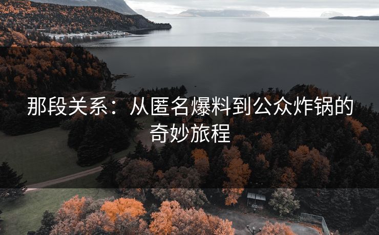 那段关系：从匿名爆料到公众炸锅的奇妙旅程